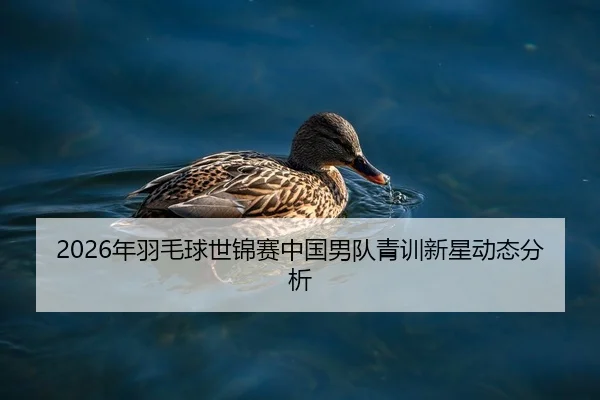 2026年羽毛球世锦赛中国男队青训新星动态分析