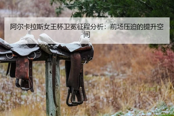 a-er-ka-la-si-nv-wang-bei-wei-mian-zheng-cheng-fen-xi-qian-chang-ya-po-de-ti-sheng-kong-jian-2-771.jpg