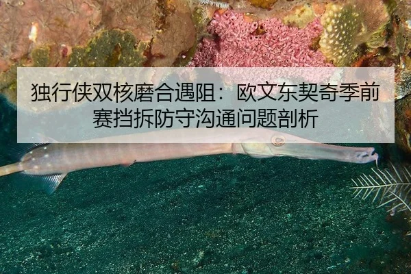 du-xing-xia-shuang-he-mo-he-yu-zu-ou-wen-dong-qi-qi-ji-qian-sai-dang-chai-fang-shou-gou-tong-wen-ti-pou-xi-2-498.jpg