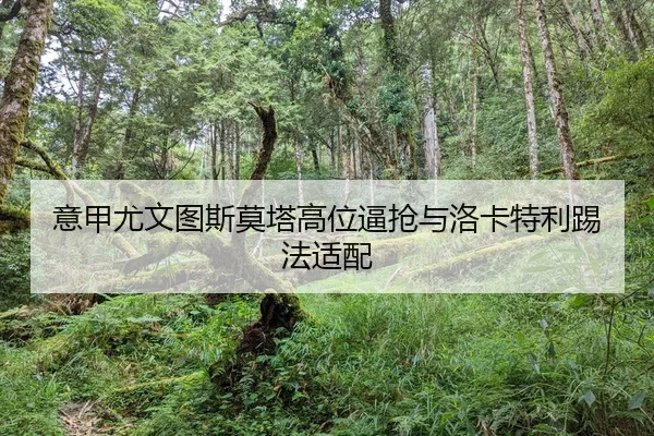yi-jia-you-wen-tu-si-mo-ta-gao-wei-bi-qiang-yu-luo-ka-te-li-ti-fa-shi-pei-2-280.jpg
