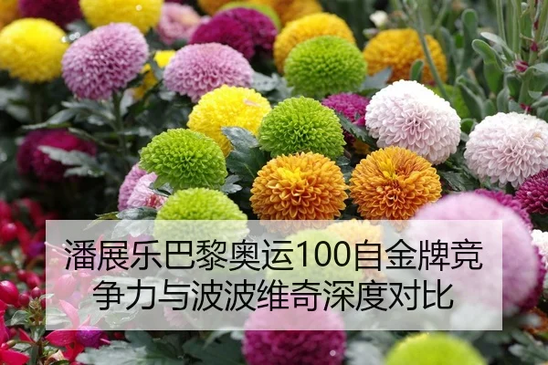 潘展乐巴黎奥运100自金牌竞争力与波波维奇深度对比