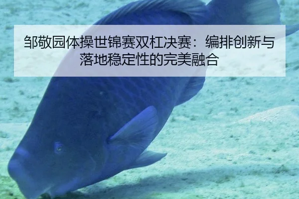 邹敬园体操世锦赛双杠决赛：编排创新与落地稳定性的完美融合