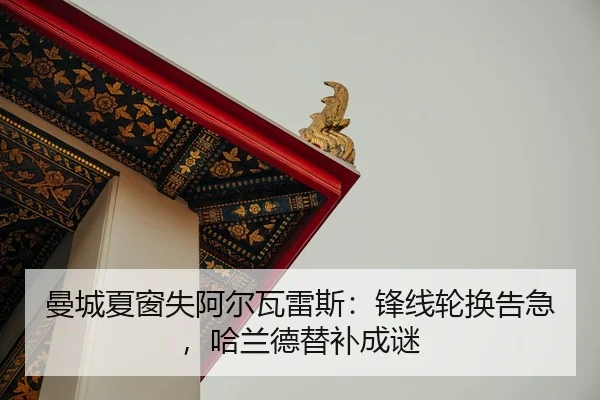 man-cheng-xia-chuang-shi-a-er-wa-lei-si-feng-xian-lun-huan-gao-ji-ha-lan-de-ti-bu-cheng-mi-2-600.jpg