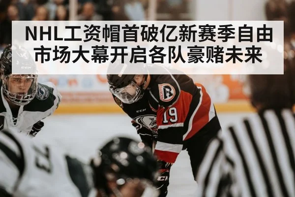 NHL工资帽首破亿新赛季自由市场大幕开启各队豪赌未来